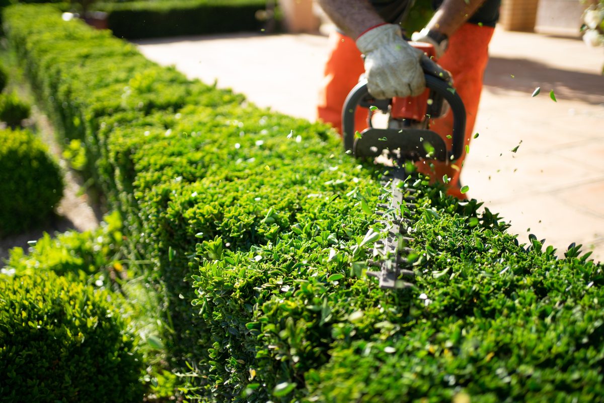 Telford Home Care - lawn and garden care in action